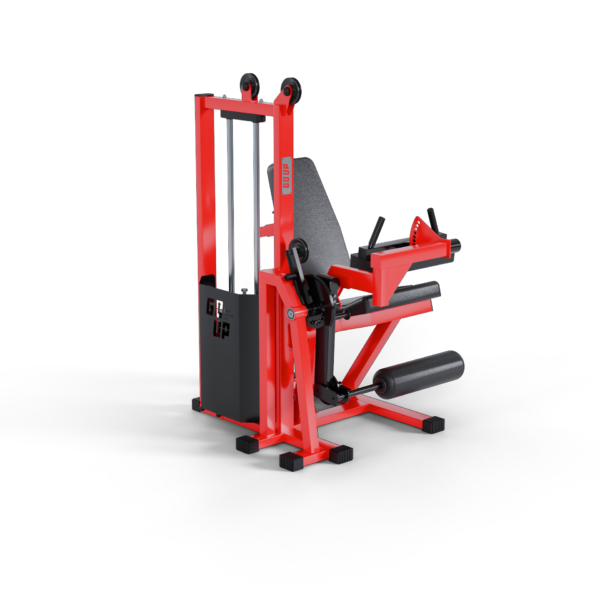 Flexo Extensora