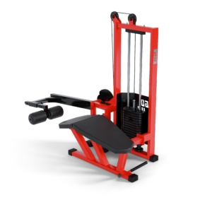 Mesa Flexora