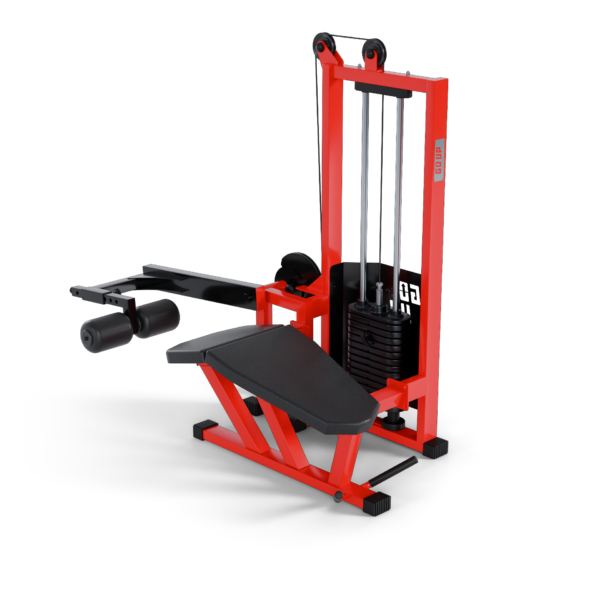 Mesa Flexora