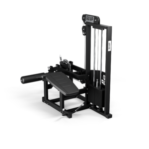 Mesa Flexora